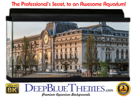 Buy Aquarium Background Travel Span Aquarium Background