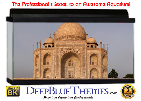 Buy Aquarium Background Travel Sunset Aquarium Background