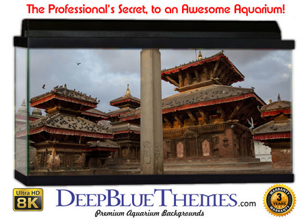 Buy Aquarium Background Travel Temple Aquarium Background