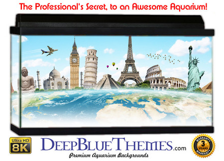 Buy Aquarium Background Travel World Aquarium Background