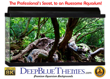 Buy Aquarium Background Trees Area Aquarium Background