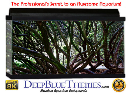 Buy Aquarium Background Trees Arms Aquarium Background