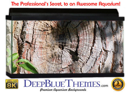 Buy Aquarium Background Trees Bark Aquarium Background