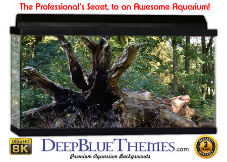 Buy Aquarium Background Trees Bottom Aquarium Background