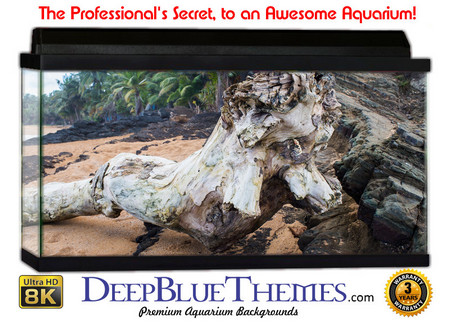 Buy Aquarium Background Trees Broken Aquarium Background