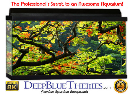Buy Aquarium Background Trees Color Aquarium Background