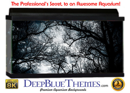 Buy Aquarium Background Trees Dark Aquarium Background