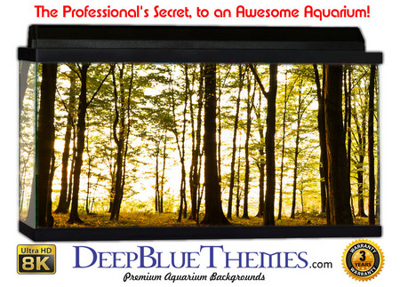 Buy Aquarium Background Trees Deep Aquarium Background