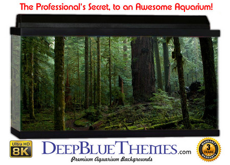 Buy Aquarium Background Trees Dence Aquarium Background