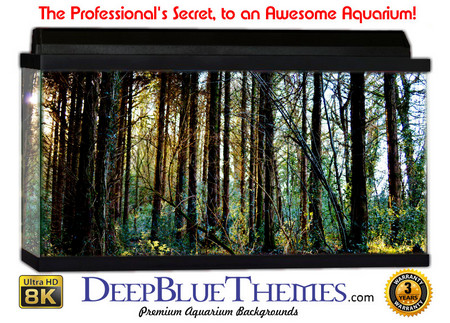 Buy Aquarium Background Trees Fairy Aquarium Background