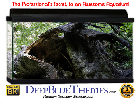 Buy Aquarium Background Trees Fallen Aquarium Background