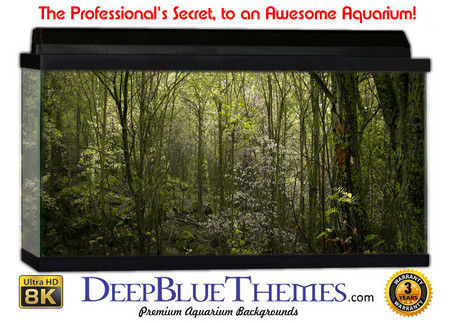 Buy Aquarium Background Trees Forrest Aquarium Background