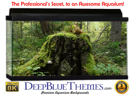 Buy Aquarium Background Trees Grasp Aquarium Background
