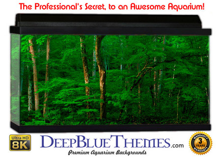 Buy Aquarium Background Trees Green Aquarium Background