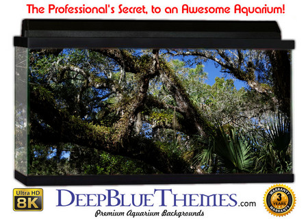 Buy Aquarium Background Trees Hang Aquarium Background
