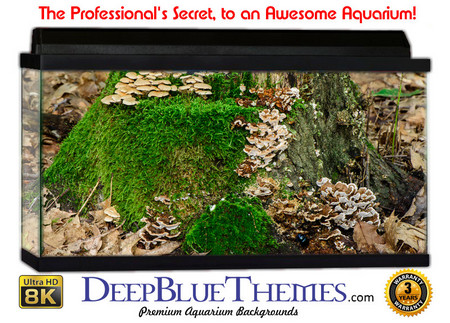 Buy Aquarium Background Trees Moss Aquarium Background