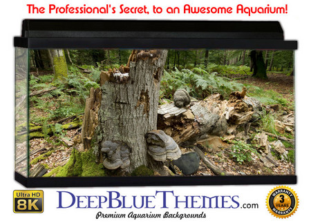 Buy Aquarium Background Trees Plate Aquarium Background