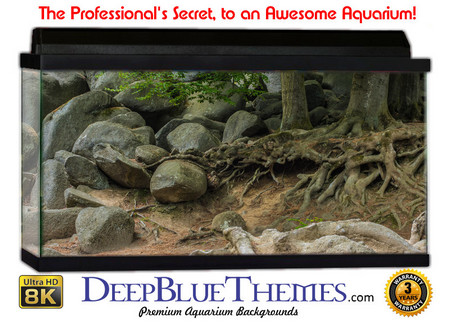 Buy Aquarium Background Trees Plateu Aquarium Background