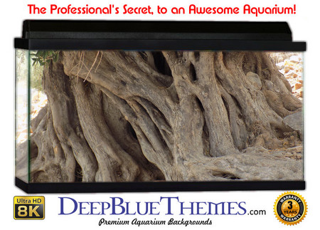Buy Aquarium Background Trees Raw Aquarium Background