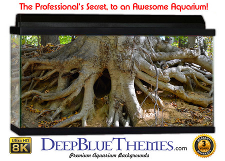 Buy Aquarium Background Trees Reach Aquarium Background