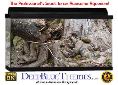 Buy Aquarium Background Trees Rough Aquarium Background
