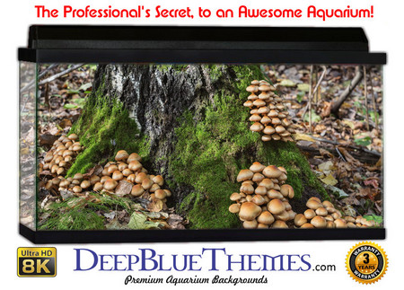 Buy Aquarium Background Trees Shrooms Aquarium Background