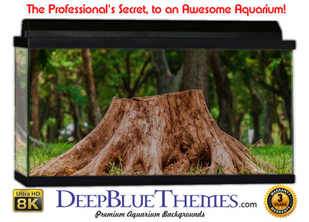 Buy Aquarium Background Trees Stump Aquarium Background