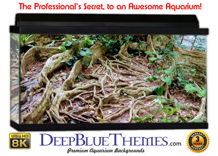 Buy Aquarium Background Trees Veins Aquarium Background
