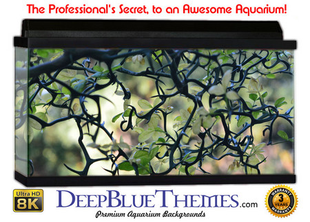Buy Aquarium Background Trees Vine Aquarium Background