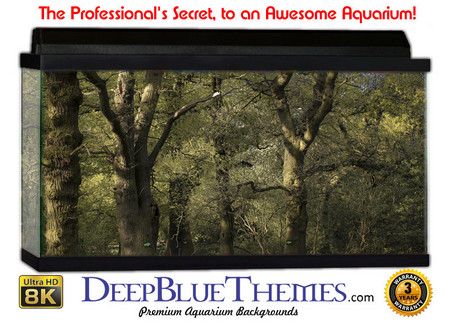 Buy Aquarium Background Trees Vines Aquarium Background