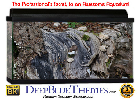 Buy Aquarium Background Trees Water Aquarium Background
