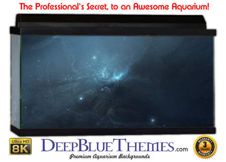 Buy Aquarium Background Uhd 005 Aquarium Background
