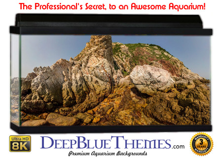 Buy Aquarium Background Uhd 007 Aquarium Background