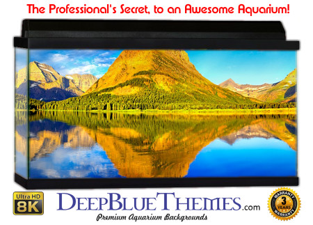 Buy Aquarium Background Uhd 008 Aquarium Background