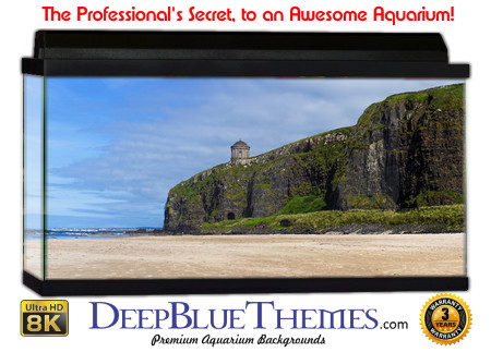 Buy Aquarium Background Uhd 011 Aquarium Background