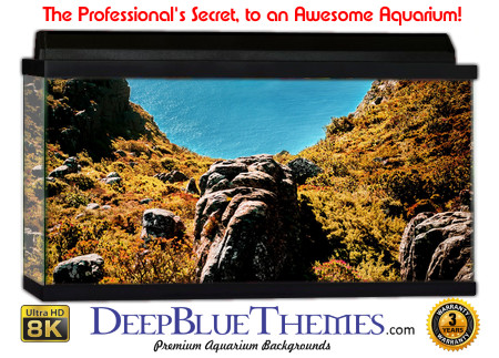 Buy Aquarium Background Uhd 012 Aquarium Background