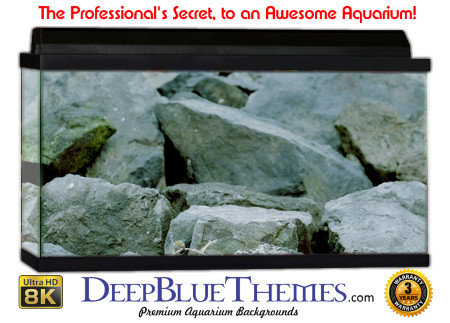 Buy Aquarium Background Uhd 013 Aquarium Background