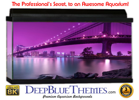 Buy Aquarium Background Uhd 017 Aquarium Background