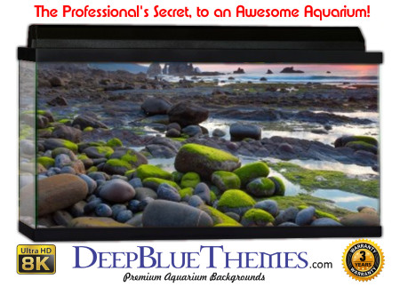 Buy Aquarium Background Uhd 022 Aquarium Background