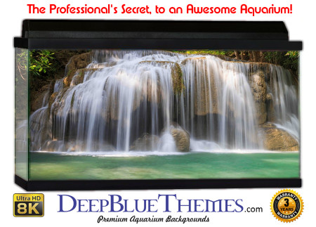 Buy Aquarium Background Uhd 025 Aquarium Background