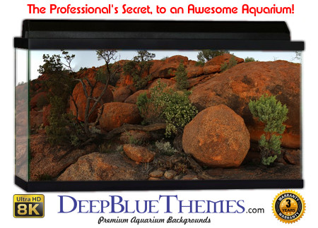 Buy Aquarium Background Uhd 026 Aquarium Background