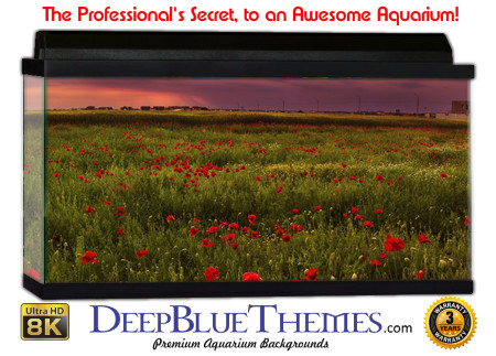 Buy Aquarium Background Uhd 030 Aquarium Background