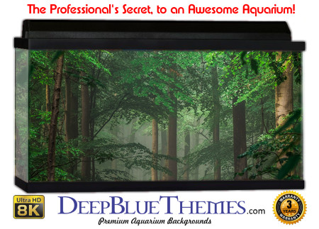 Buy Aquarium Background Uhd 032 Aquarium Background