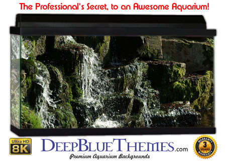 Buy Aquarium Background Uhd 035 Aquarium Background