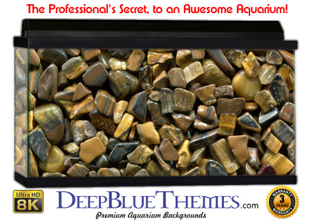 Buy Aquarium Background Uhd 037 Aquarium Background