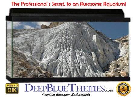 Buy Aquarium Background Uhd 038 Aquarium Background