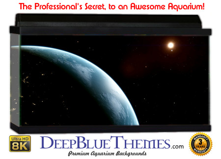 Buy Aquarium Background Uhd 040 Aquarium Background