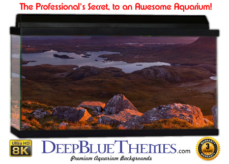 Buy Aquarium Background Uhd 043 Aquarium Background