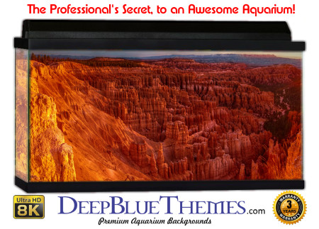 Buy Aquarium Background Uhd 046 Aquarium Background