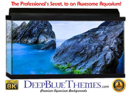 Buy Aquarium Background Uhd 054 Aquarium Background